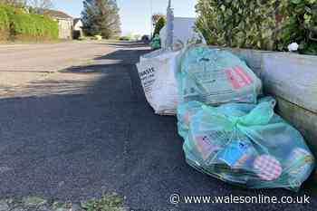 How people recycle their green bag waste in Swansea is changing