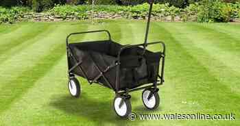 £35 trolley that's the 'ultimate solution' to making multiple trips is ideal for Glastonbury