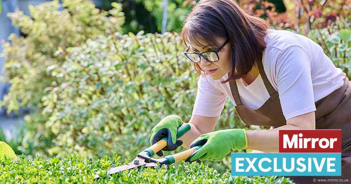 Is gardening good exercise? Experts weigh in on whether it counts as a workout