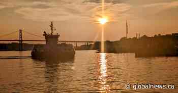 Union sounds alarm over Halifax Transit ferry operator shortage