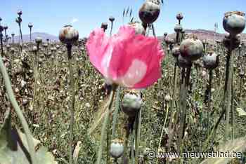 Lichtere straffen in beroep voor leden opium-bende
