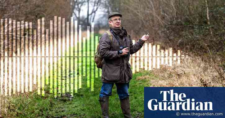 ‘These birds are telling us something serious is happening’: the songbirds disappearing from Britain’s woods