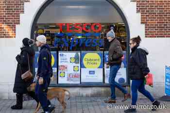 Tesco trials new security checks on shoppers before being allowed into branch