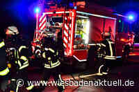 Erneut Flammen in alter Carl-von-Ossietzky-Schule - Feuerwehr war an mehreren Orten gefordert