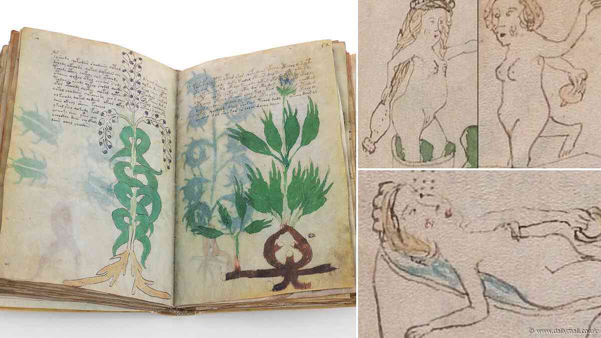 Has the world's most mysterious text finally been cracked? Experts claim 600-year-old Voynich manuscript contains medieval SEX secrets