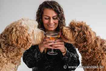 ‘The Dogmom Days’: Moedertjesdag voor hondenmama’s in Lier