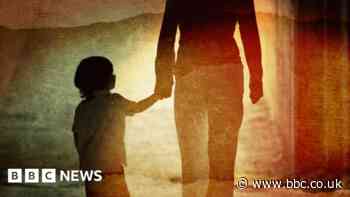 Paedophiles could lose parental rights under new law