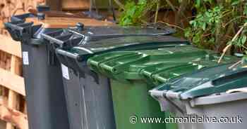 Common wheelie bin mistake that could get you £80 fine - but not many people know about it