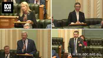 Queensland politicians discuss youth crime in parliament