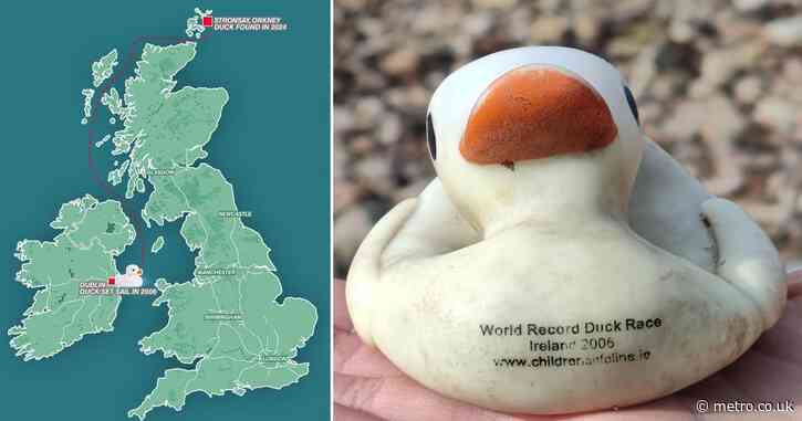 Rubber duck washes up on Scottish beach 18 years after it was released in Ireland
