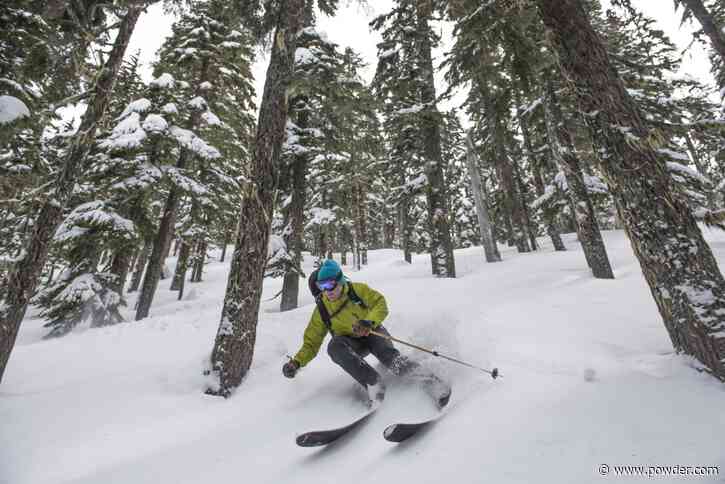 I'm Not The Biggest Fan Of Skiing Tight Trees. Here's Why.