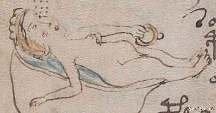 World’s ‘most mysterious book’ could be a medieval sex manual