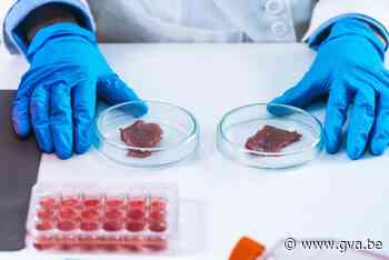 Nederlands bedrijf laat voor het eerst worst van kweekvlees proeven in Europese Unie