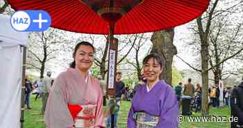 Hannover: Alles zum Kirschblütenfest auf dem Hiroshima-Hain am 21. April