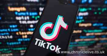 TikTok hack lets you watch videos on a plane without needing WiFi