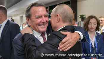 Schröder spricht über „Freundschaft“ zu Putin und ihre „nützliche Beziehung“