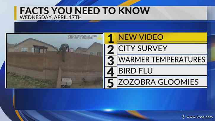 KRQE Newsfeed: New video, City survey, Warmer temperatures, Bird flu, Zozobra gloomies