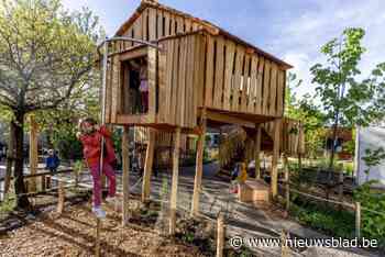 Leerlingen Sint-Pietersschool nemen nieuwe groenere speelplaats in gebruik: “Grote boomhut is de blikvanger”