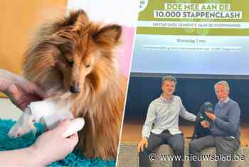 EHBO-cursus voor huisdieren kan rekenen op massale opkomst met 208 inschrijvingen
