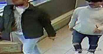 Police seek ‘pickpockets’ accused of targeting grocery shoppers in Brantford