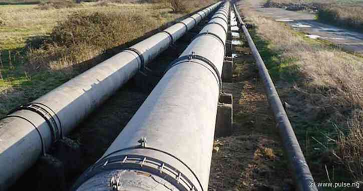 NDYC backs pipeline protection contracts, tells FG to reject revocation