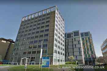 University student 'critical' after falling from sixth-floor window at Swansea halls of residence