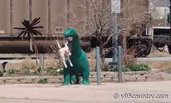 Gillette, Wyoming Dog Tries Making Friends With Sinclair Dino