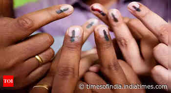 How to check if your voter id is updated before Lok Sabha election?