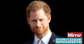 Prince Harry 'regretting his ignorance' as court case looms, claims royal expert