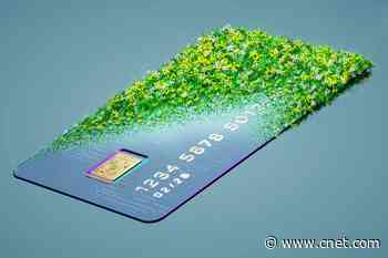 Feeling Blue For Not Being Green? This Card Offers 6% Cash Back for Eco-Friendly Purchases     - CNET