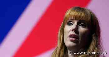 'Angela Rayner hounding is outrageous: brutal, snobbish and completely out of proportion'