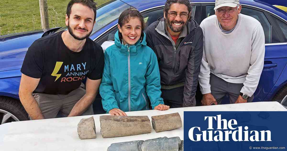 Fossils found in Somerset by girl, 11, ‘may be of largest-ever marine reptile’