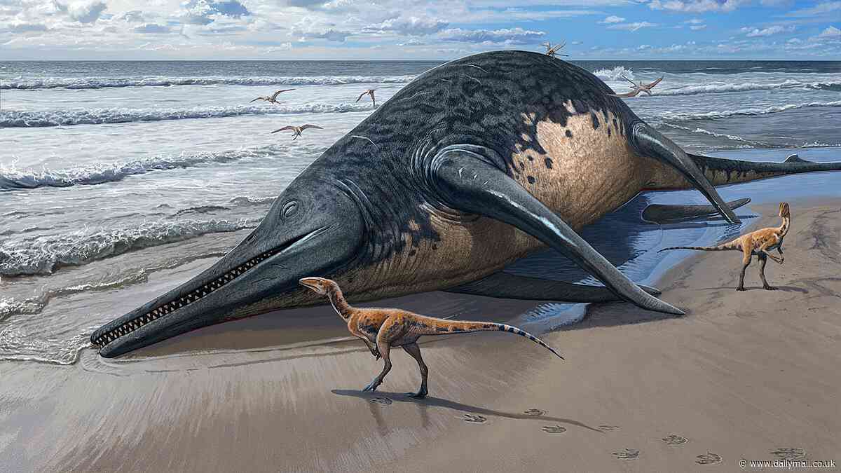 Somerset's giant sea monster! Huge ichthyosaur twice the size of a London bus roamed the UK 200 million years ago, study reveals