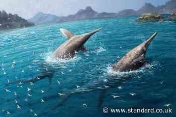 Researchers identify ichthyosaur that may be the largest known marine reptile