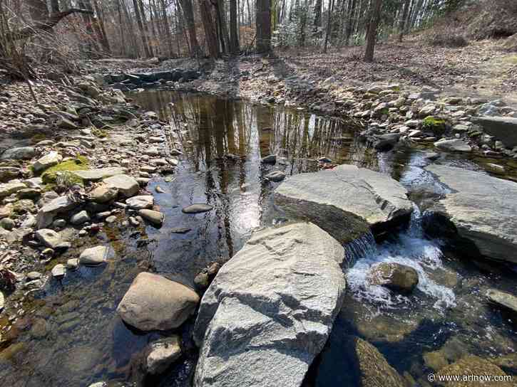 NEW: Overflowing sewage line leads to stream warning