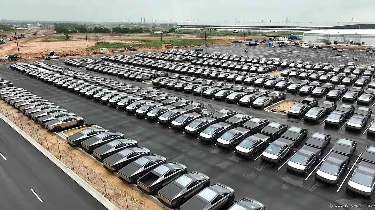 Tesla's Cybertruck disaster: Insider reveals 'serious safety issues' behind scenes of EV rollout - as drone footage shows hundreds of unfinished trucks backed up at Texas factory