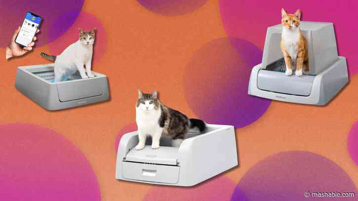 Get up to 20% off self-scooping litter boxes at Amazon and make kitty cleanup simple