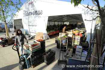 Marché Forville-Les Allées à Cannes: le jour test a eu lieu ce mercredi