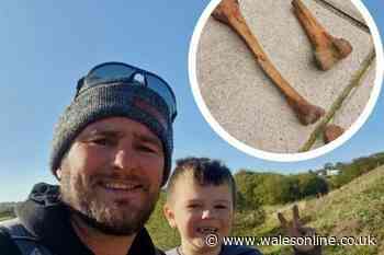 'We found set of bones on beach and brought them home - then realised they were human'