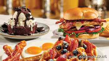 Denny's unveils new menu items for the spring including a limited-time slam, pancake puppies, a fresh dessert