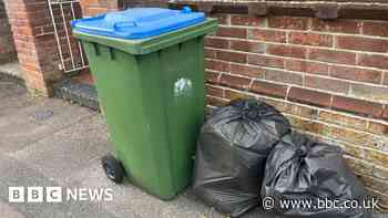 "Nightmare" bin collection improving says council