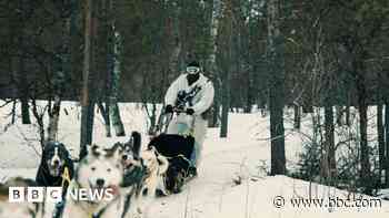 Arctic squadron recruits huskies for training