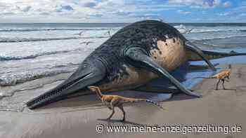 Mehr als 25 Meter: Im Meer lebte einst ein gewaltiges Reptil