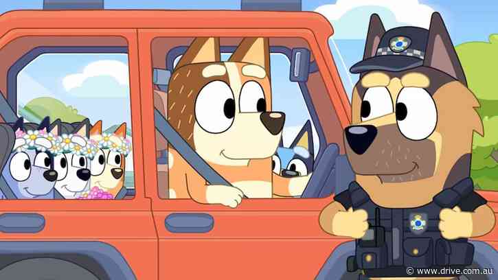 Did Bluey’s mum break the road rules? Drivers are divided