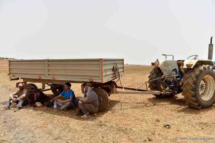 الجفاف يفقد القرى المغربية وظائف مهمة .. و"ال