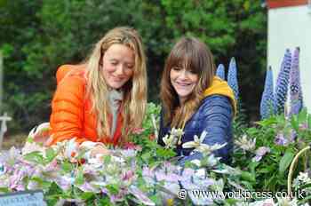 Harrogate Spring Flower Show hits Great Yorkshire showground