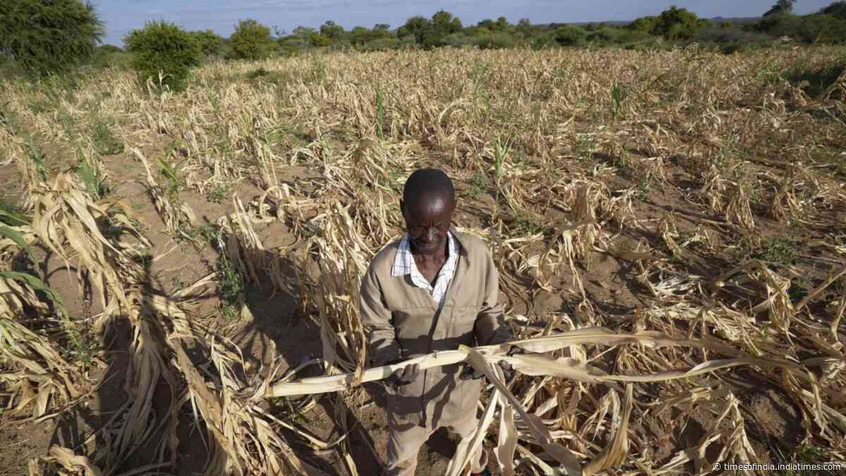 El Nino not climate change driving southern Africa drought: Study