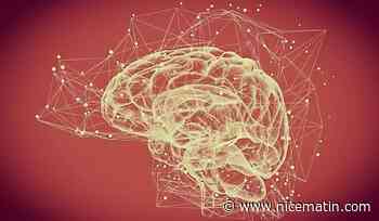 Des chercheurs mettent en garde contre les risques liés aux "neurotechnologies"