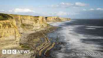 Suspected ancient human remains found at beach