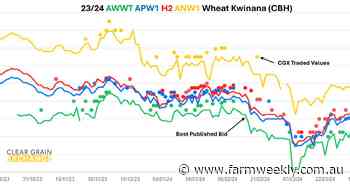 International wheat prices have improved